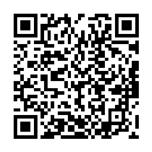 他们甚至无法去确定……将智正斩首的人究竟是谁……二维码生成