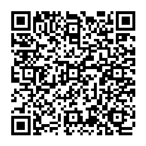 他们甚至毫无理由地相信陈长生能够在所有人都不看好的情况下战胜关白的天道剑二维码生成