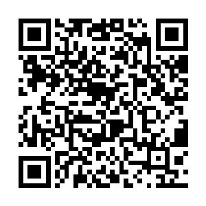 他们甚至直接采用了雨果在红地毯上的造型作为封面二维码生成