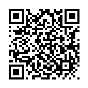 他们甚至能代替政府履行一定的社会责任二维码生成