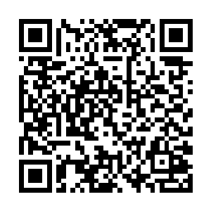 他们用柔道手段相互把对方头朝下摔在帐篷的地板上二维码生成