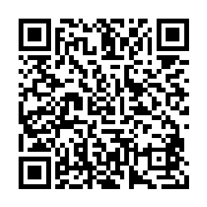 他们用的也不过就是军队里最常见的那些格斗技二维码生成