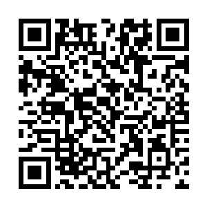 他们的亲属自然也不敢对作为上司夫人的林小乖造次二维码生成