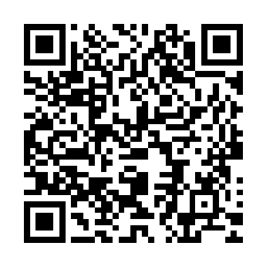他们的任务就是第一时间站出来阻止甚至制服那些狂热的观众二维码生成