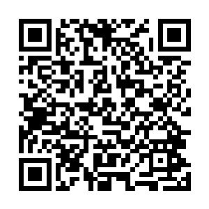 他们的准圣子居然连大预言术这样的秘术都能够施展出来二维码生成