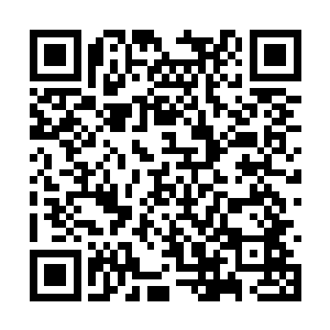 他们的动作很快就引来了现场领袖和高层们的注意二维码生成