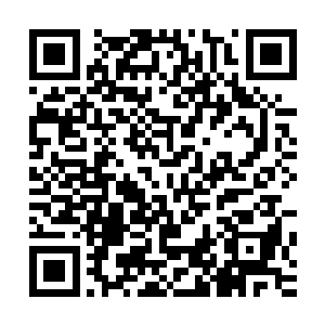 他们的呼声是一致的……在听说苍为了大局甘愿牺牲的举动后二维码生成