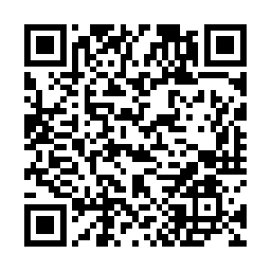 他们的团长就没有半点隐瞒的将事情的经过告诉了他们二维码生成
