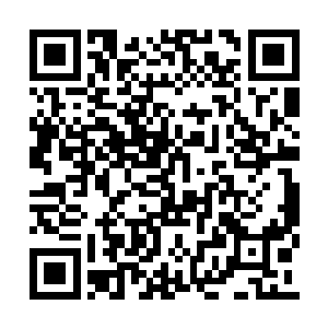 他们的声音也没现在杨风感受到的声音那么霸道二维码生成