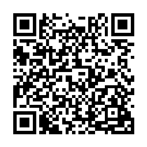 他们的外壳以及体表飞快凝结起了一层薄薄的霜花二维码生成