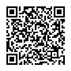 他们的天赋自然十分的强大以少胜多是他们常有的状态二维码生成