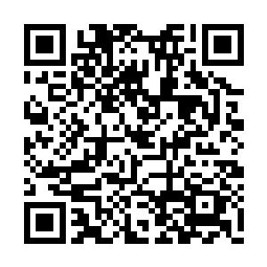 他们的太上长老可是一位臻至混元始境的强者啊二维码生成