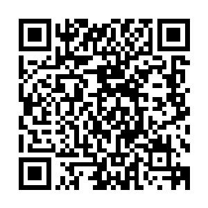 他们的女儿郭芙目前除了貌美外似乎没有继承父母的任何优点二维码生成