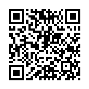 他们的宗主大人一定会替他们做主的二维码生成