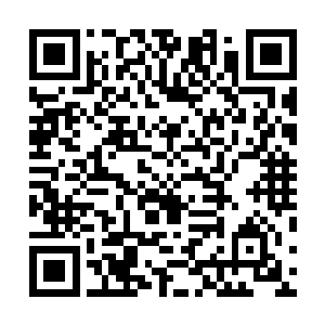 他们的实力不强所以无法通过让他们沉睡的方式一劳永逸二维码生成