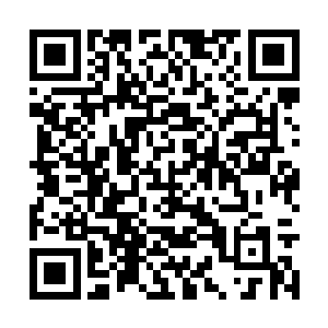 他们的实力在费南恐怕算得上是最顶尖的那批人了二维码生成