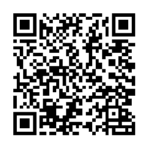 他们的实力要超出此次最终试炼其他弟子的平均实力许多二维码生成