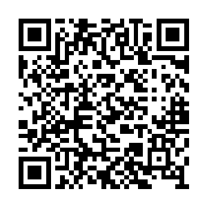 他们的小公主都被王室送到华夏国交由他来照顾二维码生成