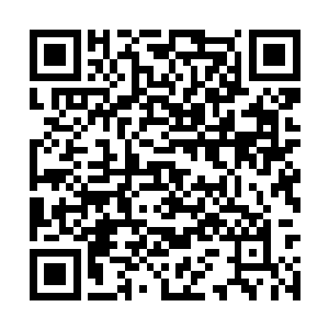 他们的惨状让其他家族的仙人们也瑟瑟发抖了起来二维码生成