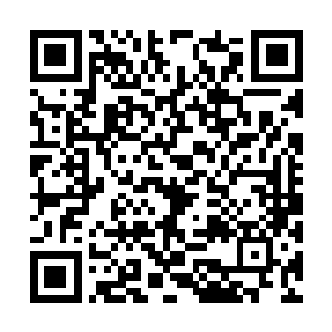 他们的成分和组成行星的成分并没有本质上的不同二维码生成