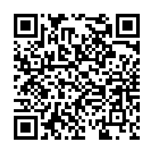 他们的战斗在他们眼里不过只是小孩子的游戏罢了二维码生成