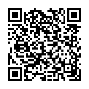 他们的技能发动和完成其实是一个相对固定的距离二维码生成