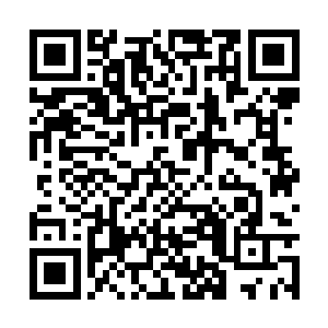 他们的收视率也的确比其它的省级卫视要高出一截二维码生成