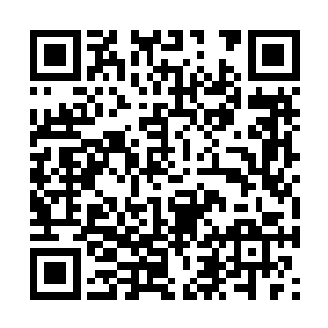 他们的沟通都是个问题――菲利普王子不懂华夏语二维码生成