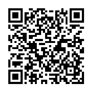 他们的注意力完全被十余里外传来的声音吸引住了二维码生成