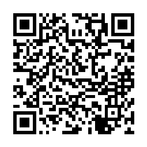 他们的球迷甚至已经忘记了顶级联赛冠军是什么滋味了……二维码生成