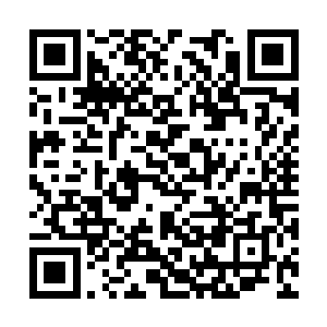 他们的目光从原战和严默牵着的小孩身上一掠而过二维码生成