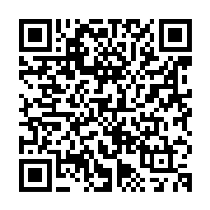 他们的目标就是杀光陷在一掌之水布下的空中沼泽的元婴期修士二维码生成