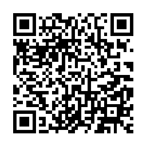 他们的确会像百里清颜下去时所料想的那样还要打上一段时间二维码生成