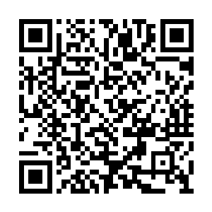 他们的神识一直都在暗中观察那三名护法的动向二维码生成