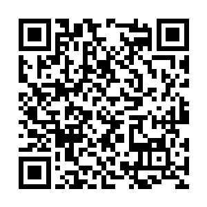 他们的组织分部曾经遍布死域大陆的各个角落当然二维码生成
