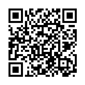 他们的老板把帮派里的大部分人集中起来二维码生成