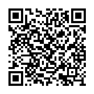 他们的老爷竟然是被这神兽给一爪子拍在了地上二维码生成