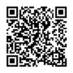 他们的耳边只回荡着那令人寒心且熟悉的机械化系统提示音二维码生成