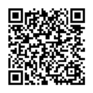 他们的脑海里都不由自主浮现尸横遍野的惨烈画面二维码生成