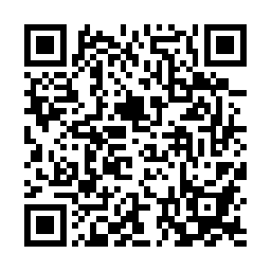 他们的脑电波就像是一朵朵清香扑鼻又五彩斑斓的花束二维码生成