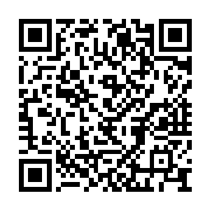 他们的脚下却清晰的传来了一句不合时宜的问候二维码生成