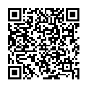 他们的自尊心和高傲岂容如蝼蚁般的低级玩家玩弄二维码生成