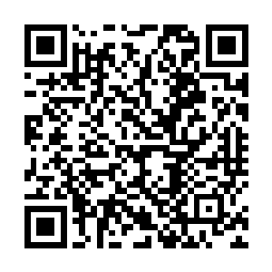 他们的行为再次佐证了……二五仔是没什么节操可言的二维码生成