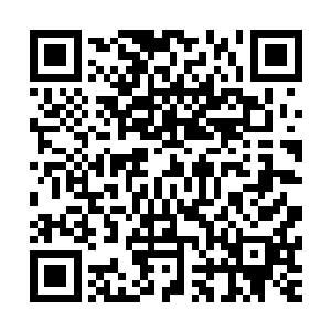 他们的行事方式和对世界保存的善意是苏离向来最嘲弄鄙夷的二维码生成