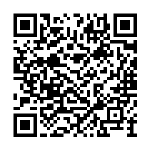 他们的表现还真的就赶不上丁蕴和丁畅他们两个二维码生成