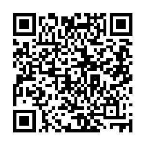 他们的观点是异能这种东西始终会为地球带来毁灭二维码生成