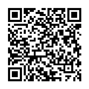 他们的视线正好和右侧等待他们过去的其他军校生撞了个正着二维码生成