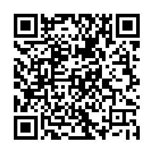 他们的记忆里都会有一个撑着长篙在雀河里寻梦的秃子二维码生成