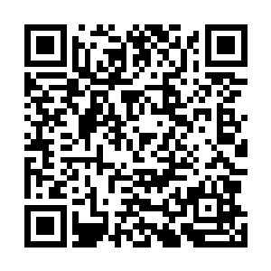 他们的诘问谴责落在她耳朵里根本撼动不了她坚定的本心二维码生成