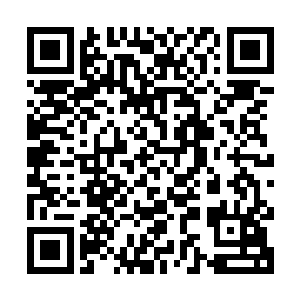 他们的话倒是让林烽想起了传承记忆当中修真者饲养的灵兽灵禽二维码生成